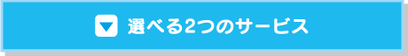 選べる2つのサービス