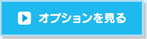 オプションを見る